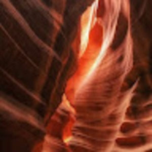 Meet your Posher, Wrenna